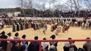 Vidéo : Fontvieille maintient les traditions avec le Recampado