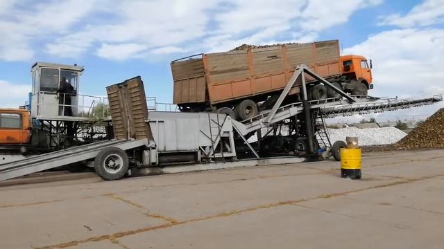 Выгрузка сахарной свёклы.