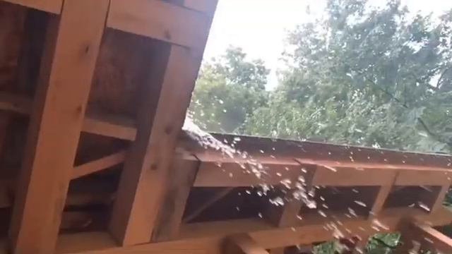 Погода на Даче Струковых. смотреть онлайн