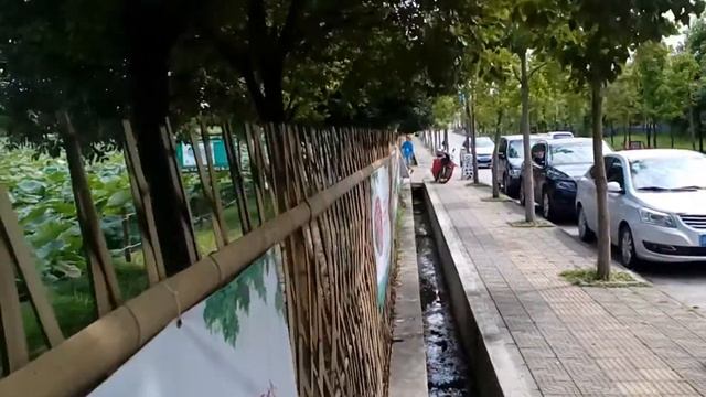 Китайская редька красиво цветет! смотреть онлайн