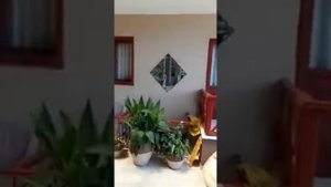 Hotel " Himeros Вeach" Kemer