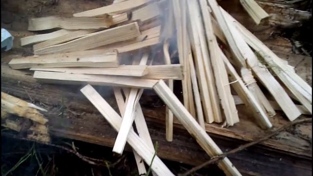 ПОХОД В ТАЙГУ. смотреть онлайн