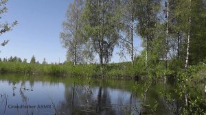 Relax, fishing, ASMR. Не за рыбой,на рыбалку.