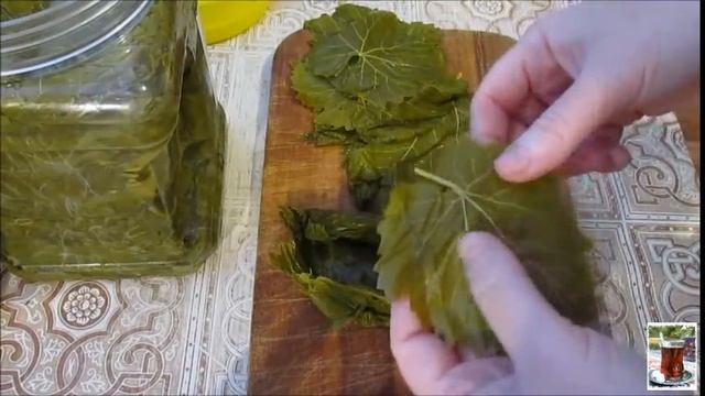 Долма в виноградных листьях / Yarpaq dolması Азербайджанская кухня / Azərbaycan mətbəxi