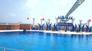 Дельфинарий в Алании - отдых в Турции со всей семьей | Sealanya