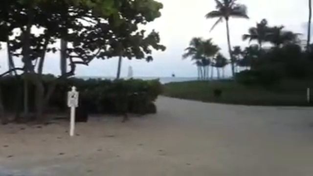 Bal harbour island Miami смотреть онлайн