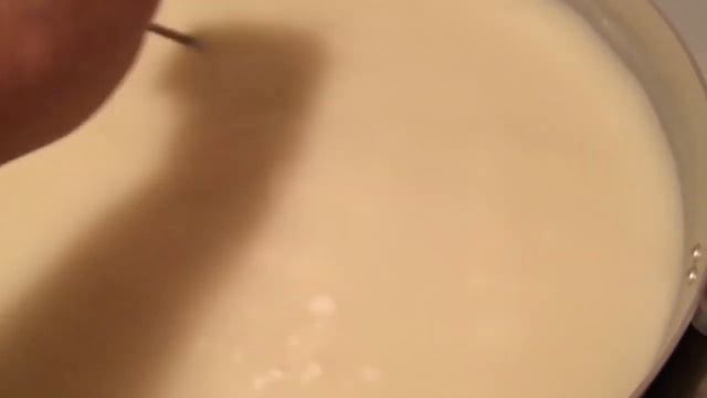 Твёрдый сыр рецепт сыра из козьего молока как приготовить сыр в домашних условия