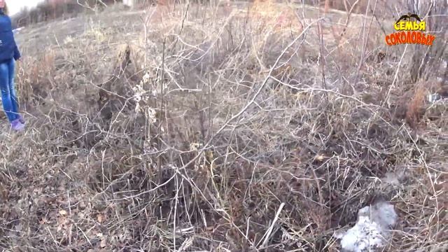 Рум Тур по нашей даче / Взяли дачный участок в аренду / Дачный влог / Семья Соколовых