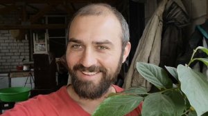 Чем кормлю кур, уток, индюков. Продал цыплят и утят