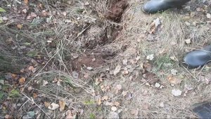 ГДЕ ИСКАТЬ МЕТАЛЛОЛОМ? КОП МЕТАЛЛОЛОМА В ЛЕСУ! . Прогулки с металлоискателем. Железные находки.