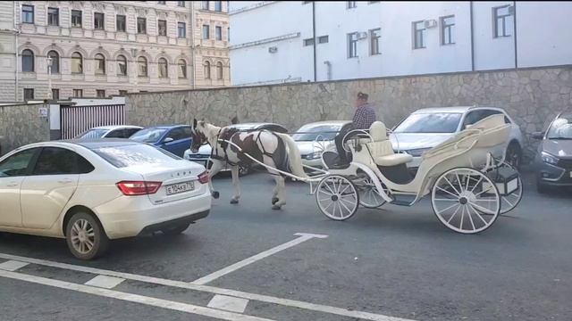 цок цок цок – это в Казани смотреть онлайн