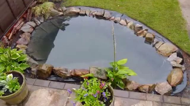 Небольшой пруд во дворе дома, Геопленка смотреть онлайн