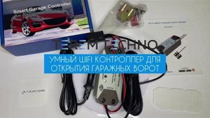 Умный WIFI реле контроллер с Алисой Terem Techno для открывания гаражных ворот Tuya