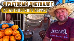 Фруктовый дистиллят из антильского абрикоса (Мамея).