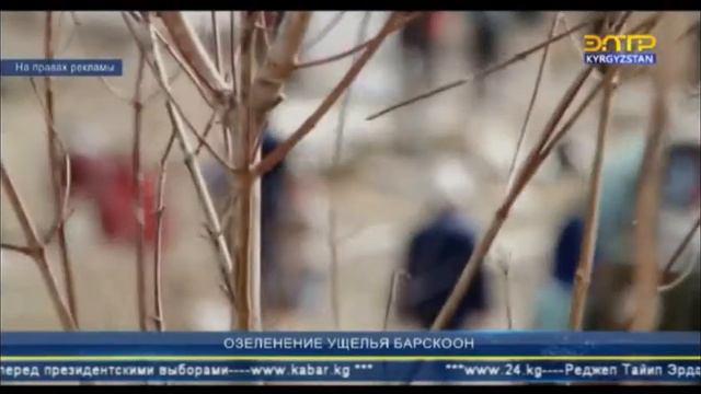 МЕРЫ ПО СНИЖЕНИЮ ВОЗДЕЙСТВИЯ ПЫЛИ НА ТЕХНОЛОГИЧЕСКОЙ ТРАССЕ В УЩЕЛЬЕ БАРСКООН
