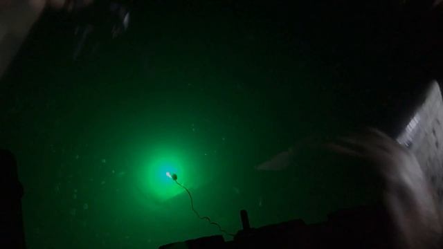 Ночная рыбалка! Ловим рыбу с помощью зелёной Лампы, Готовим стейки  на природе!!!