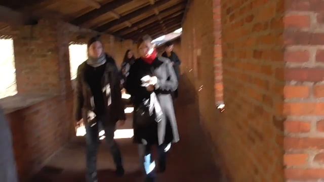 Фелида в Нижнем Новгороде, апрель 2016