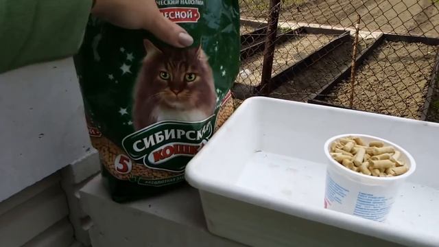 Кошачий наполнитель на грядках. Делаем почву рыхлой смотреть онлайн