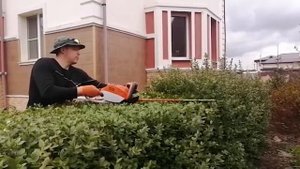 Формирующая стрижка живой изгороди