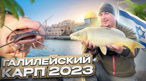 ЛОВЛЯ КАРПА НА ГАЛИЛЕЙСКОМ МОРЕ! Открытие сезона 2023