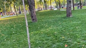 Неявка в военкомат по повестке - штраф или срок? Административная или уголовная ответственность