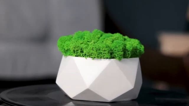 Норвежский мох в кашпо Poligon white смотреть онлайн