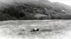 Lan Zhan❤️Wei Ying (+21)