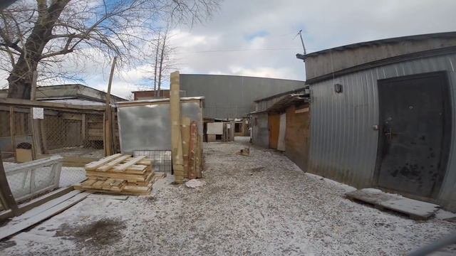 Городской приют для бездомных животных, Новосибирск