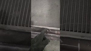 замена радиатора лексус