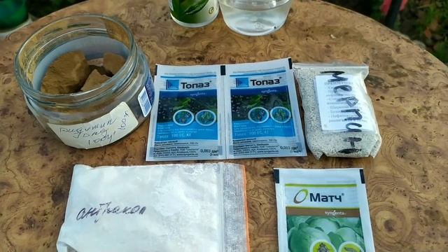 Важная обработка винограда перед цветением. смотреть онлайн