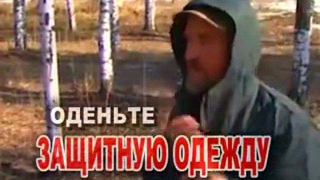 Осторожно, клещи! смотреть онлайн