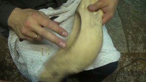 Голова Дракона на Братине. Резьба по дереву. A Dragon's head on a wooden bowl. Wood Carving.