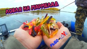 Ловля на Мармеладных червей. SHITCHALLENGE