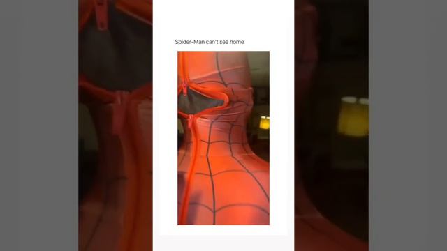 Spiderman can't see home 😂| Spiderman into wrong verse