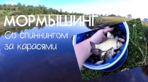 Мормышинг. С ультралайтовым спиннингом за карасями. Рыбалка с продолжением. Зарыбляем водоем