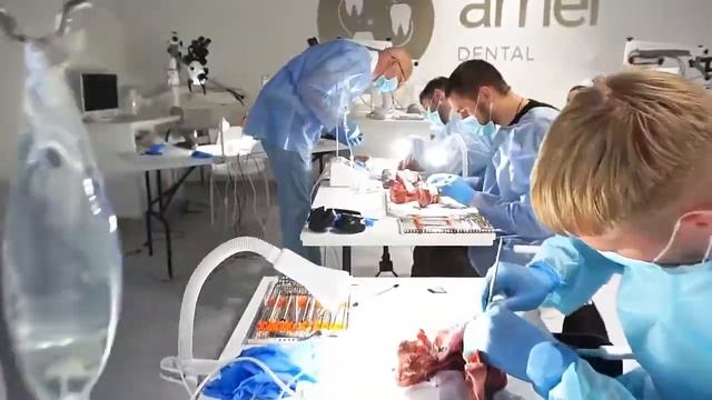 В Днепре центр Amel Dental Hub проводит лекции и занятия для стоматологов смотреть онлайн