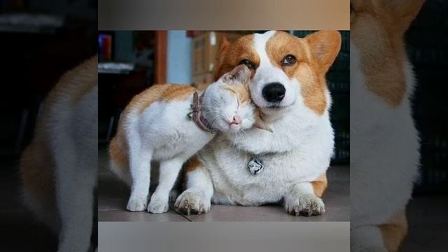 Характеристика людей родившихся 6 марта смотреть онлайн