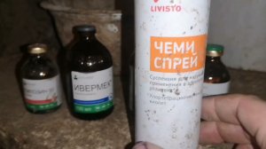 Индюшата 2024 год