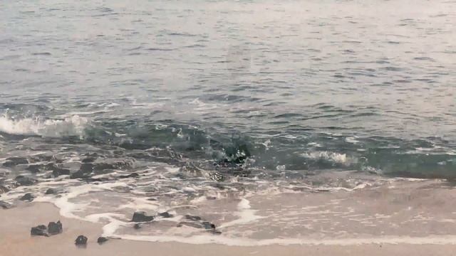 Antonio Saracino - BACHATA PER MARIA (Videoclip) смотреть онлайн