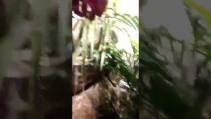 Искусственный водопад скала в интерьере