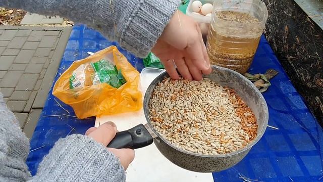 Поздняя линька у кур несушек осенью - зимой: чем кормить во время линьки