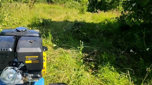 мотоблок мб 23 ремень визгун по полям по кустам ( на жаренку набрал ??????)