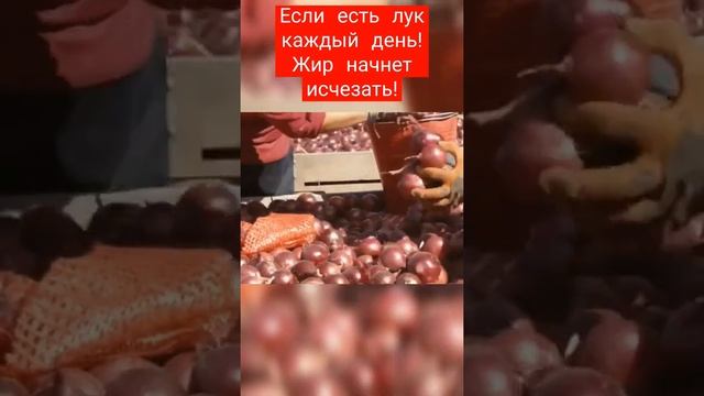 Если Кушать Лук каждый день, вот что с тобой станет! смотреть онлайн
