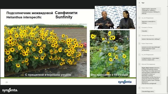 Вебинар «Необычный подсолнечник и другие новинки для декоративного садоводства» смотреть онлайн