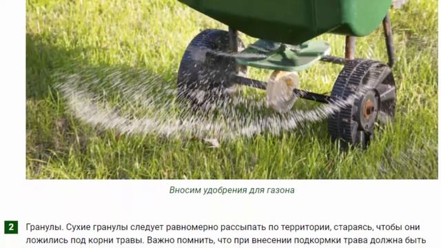 Удобрения для газона весной выбор и применение