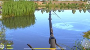 Russian Fishing 4 ТОЛСТОЛОБИК НА БОЛОТЕ р. АХТУБА