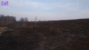 XP ORX | XP Deus | Ace - 250 | Коп в 3 прибора