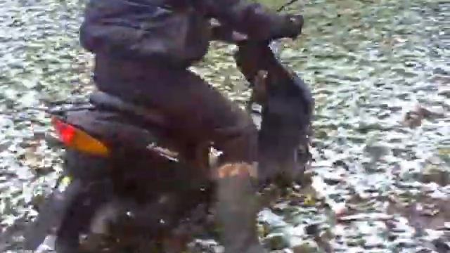 suzuki lets 2 смотреть онлайн