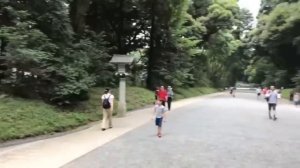 Shinjuku Station to Shibuya Secret Shortcut (via Meiji Shrine) Street View Adventure