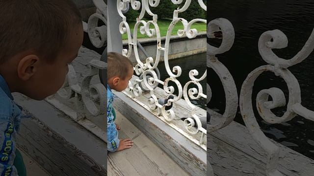Петродворец. Петергоф.mp4